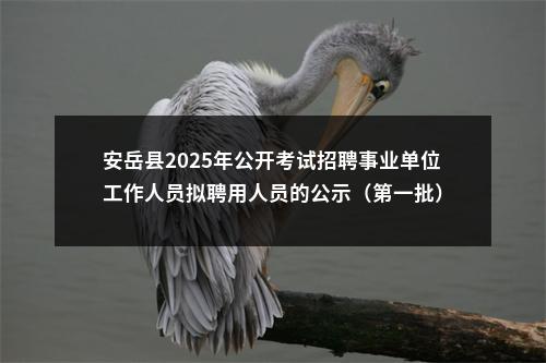 安岳县2025年公开考试招聘事业单位工作人员拟聘用人员的公示（第一批） 图片